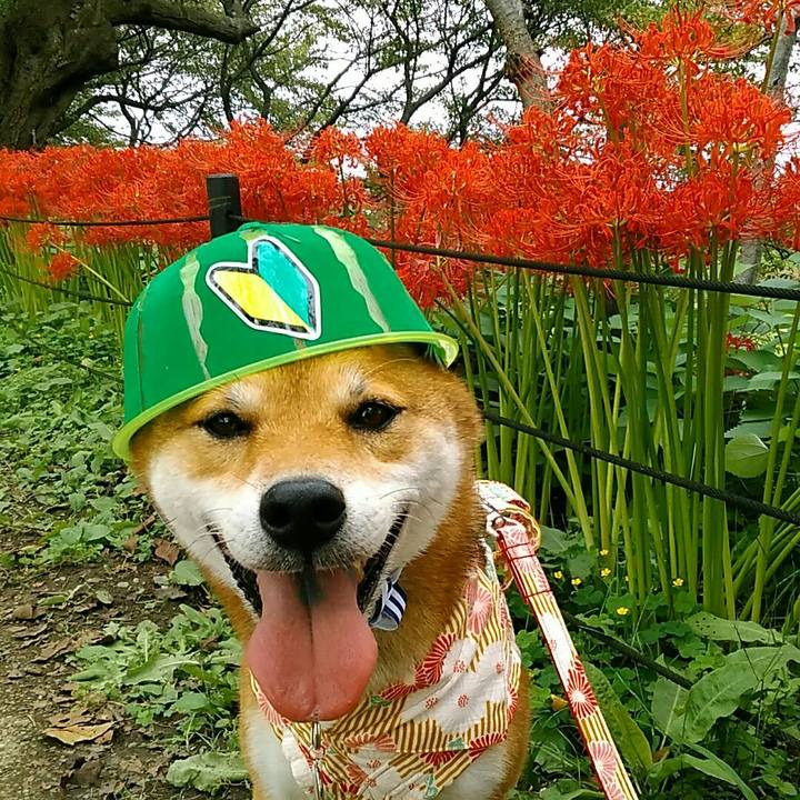 F2d09278 a8de 4c01 81e2 d0ba17802715 1537682886865