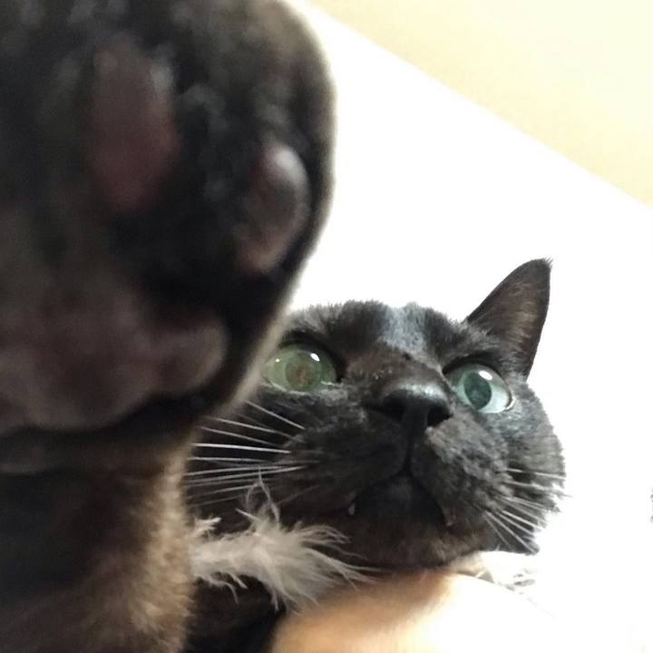 F2d0acb7 9b30 4c23 a0e8 88a5f2ca2253 1674898602664