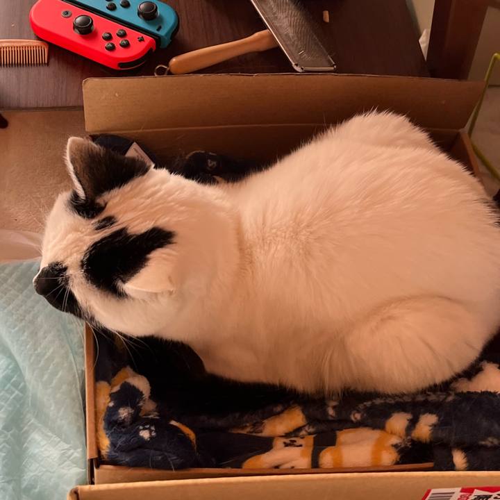 F2d0d293 5606 4870 abe1 5fef38d72235 1769262756872