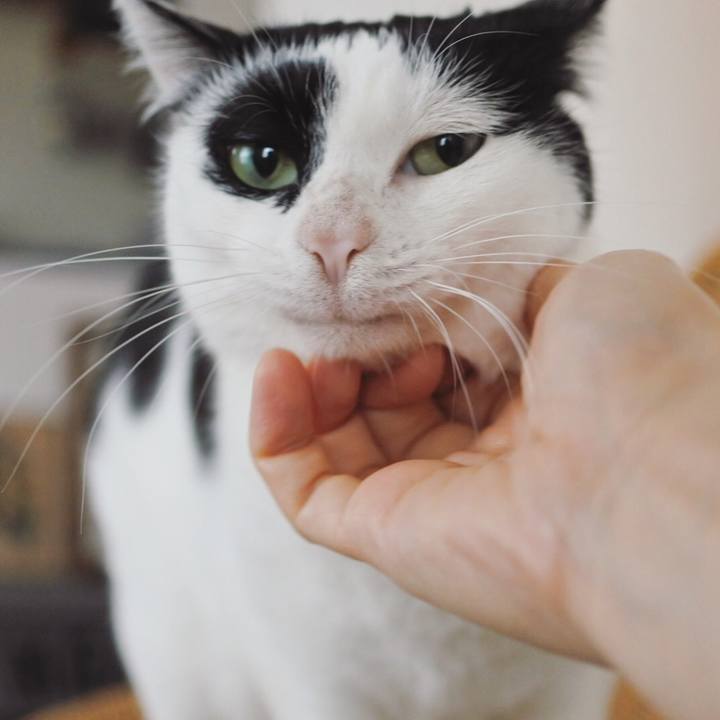 F2d0d72b 129e 47c6 a548 e8361cb384fa 1583308816571