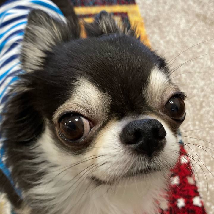 F2d0f84d 6bb8 4251 b080 a67a9aeee661 1695507472689