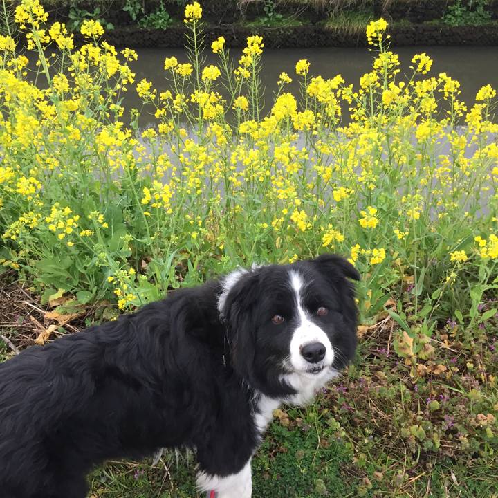 F2d10505 d284 44c2 9b85 850840bb5ead 1582675545271