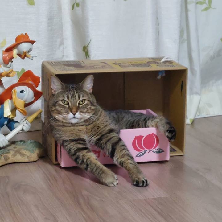 F2d1053f 620f 4400 b037 3643904b6b6f 1702471445630