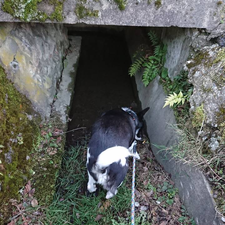 F2d10a9d 343b 4b71 a034 273082a2a31c 1552050532350