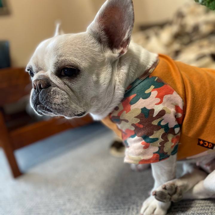 F2d11b7d 4ac5 4c2f a00c 66e47cb335a7 1734477191022