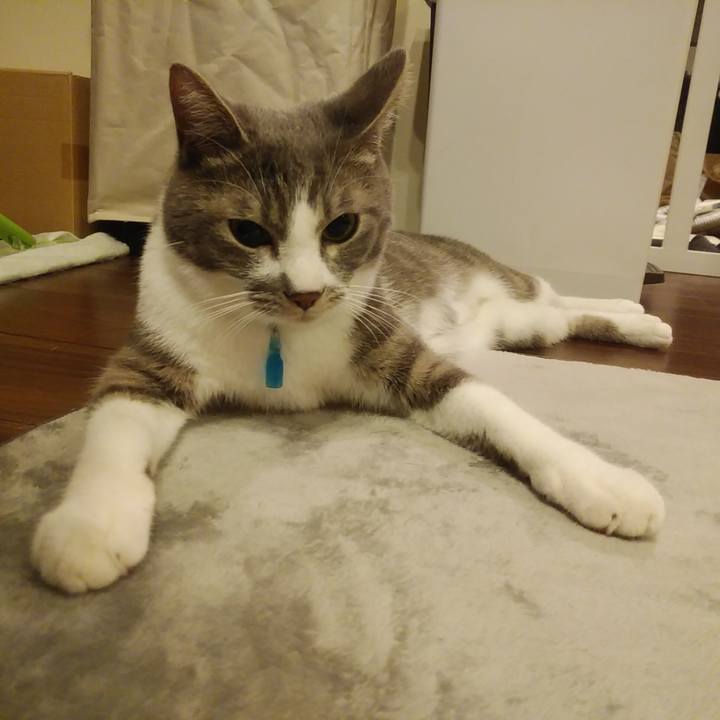 F2d11cb9 ca49 40d2 9d02 160aa1b0bfb9 1588424237659