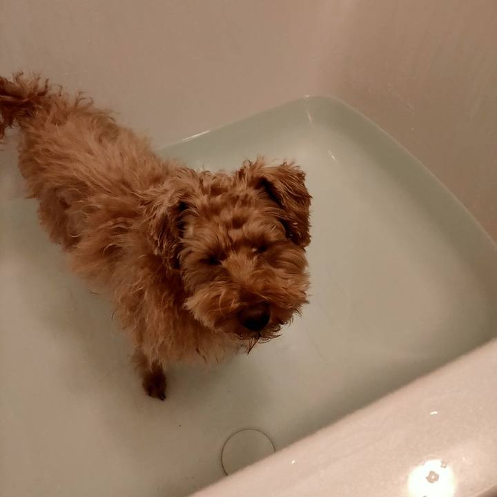 F2d13f4c e639 440d 9e22 beb774023883 1610156715956