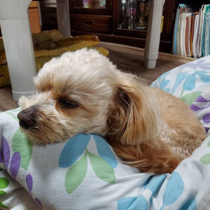 F2d1a82c f319 4f38 aea0 b3ff6f353c1f 1653689335128