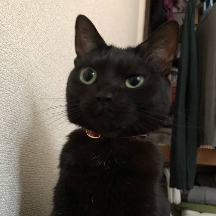 F2d1b0cf 4c71 40b6 8edc 1061d0ff2fc1 1520506027003