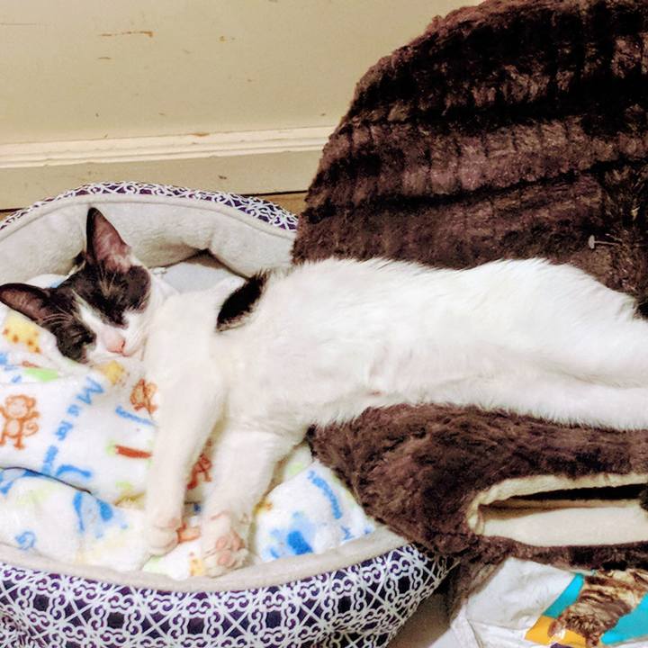 F2d1c0bb d11e 4d68 8a71 dc4b603d3ad2 1531355880107