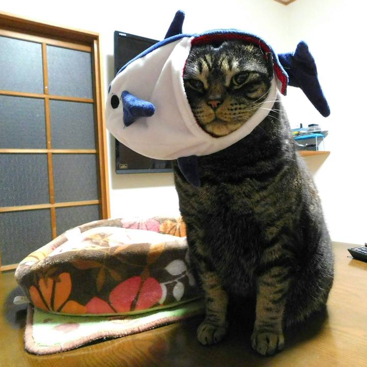 F2d1d997 cb8b 4e34 a69b 24373a656f0b 1518614355564