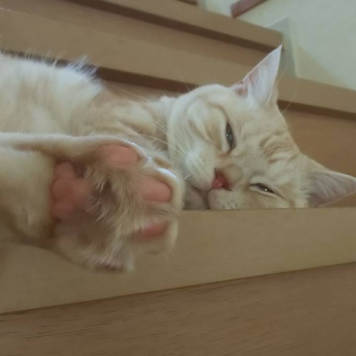 F2d1dbc6 66a3 46a9 b347 ffa069919f01 1539228826772