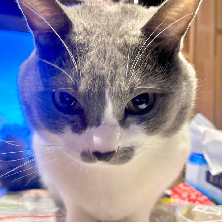 F2d20f2c 1dd2 494a a04d 15465a9171ca 1665151056985