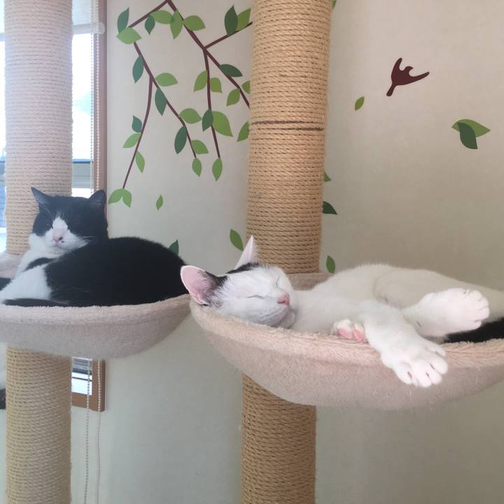 F2d21e56 86d4 45d7 9476 60483d789d69 1541381419555