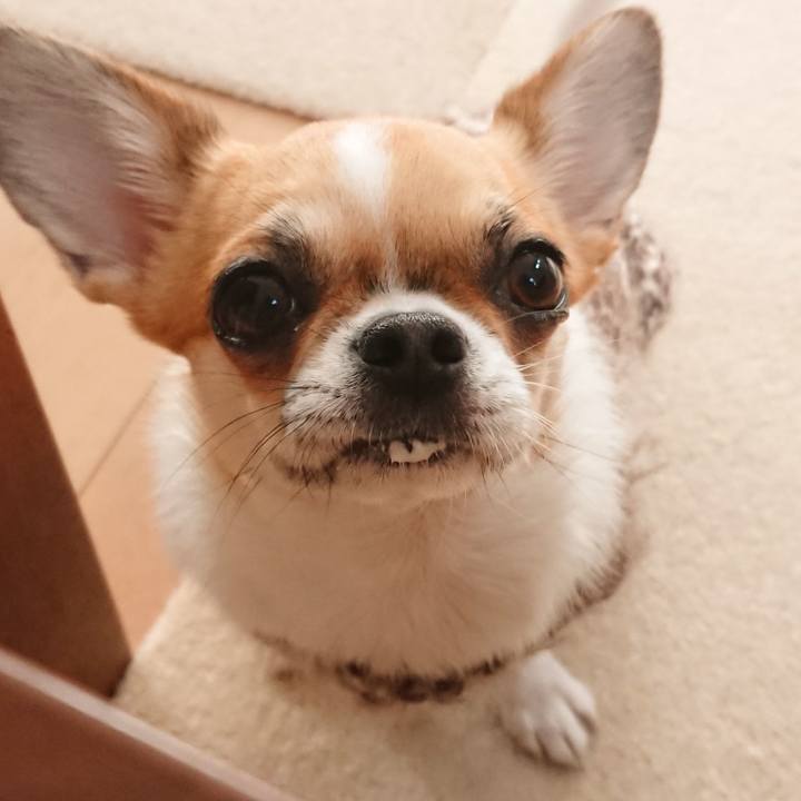 F2d234db e89c 422e b432 99377abd26cf 1580770866482