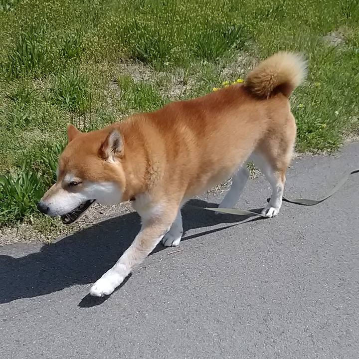 F2d24c4e c669 4ce7 ba65 e2c519af318d 1651446480877