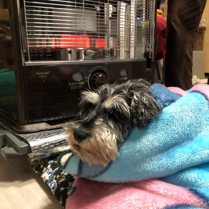 F2d250cc 5bf7 4571 a8c7 a8cd8a8b01f2 1639887935089