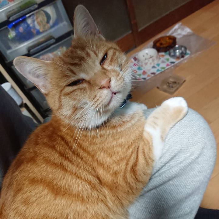 F2d27c6d 316e 4184 b941 8159aefc118a 1605995392032