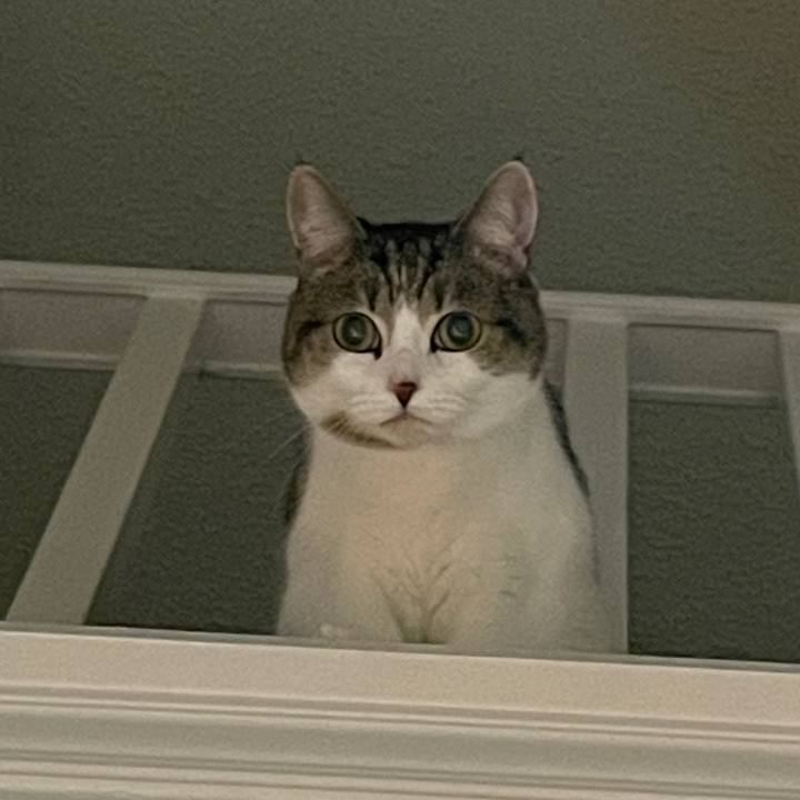 F2d2805b 147d 4365 b3a6 7c84f490dc79 1769273379765