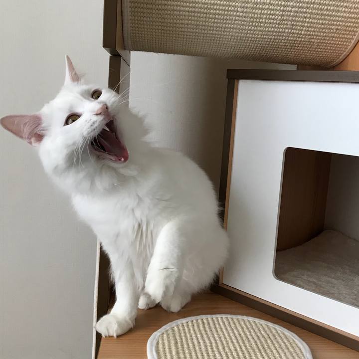 F2d29ae2 47f2 492d 910c 2a9f4bba6bd5 1523964326333