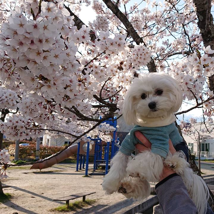 F2d2b152 9473 48bf 8658 04191ded0d37 1586427145057