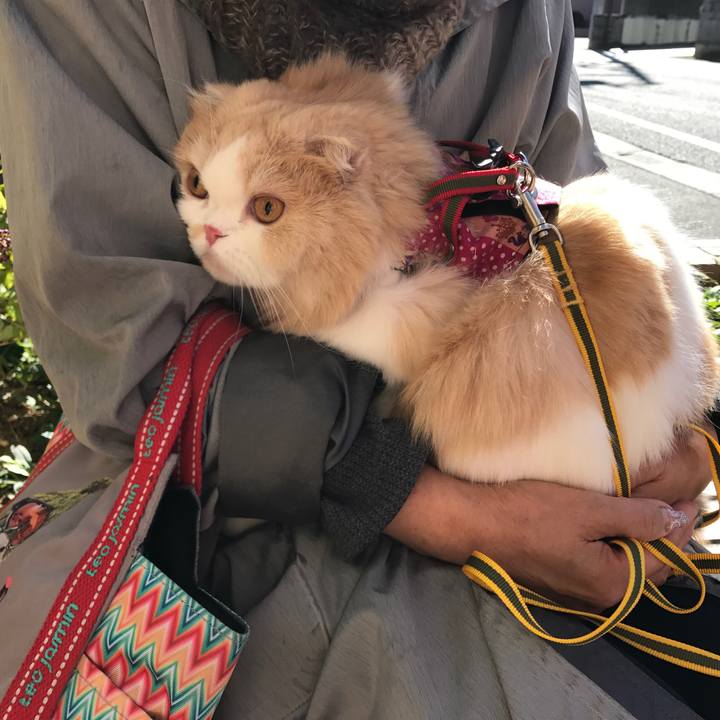 F2d2c820 5464 4ab8 91cb 0ee64e215419 1511067704023