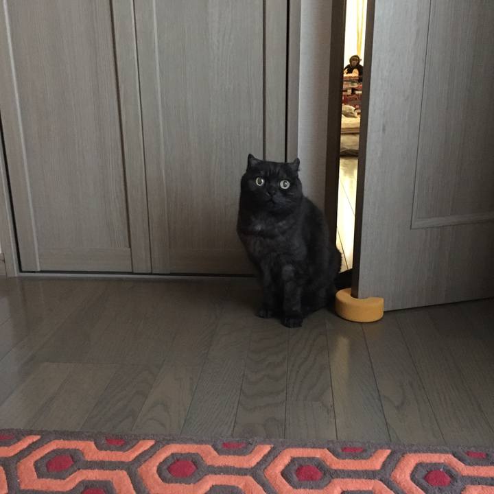 F2d2e4c9 cf50 41d6 a825 cba7499b3a9c 1557261560500