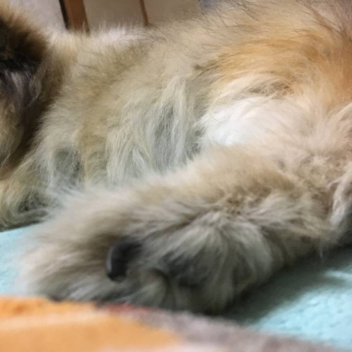 F2d2f478 288d 4232 9876 ce98a8a7dae7 1586736642289