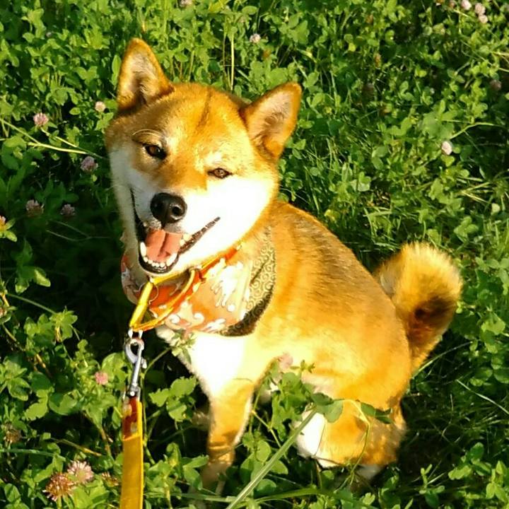 F2d32bb5 4d8d 43bf bd5b 98e24c83c769 1531385401828