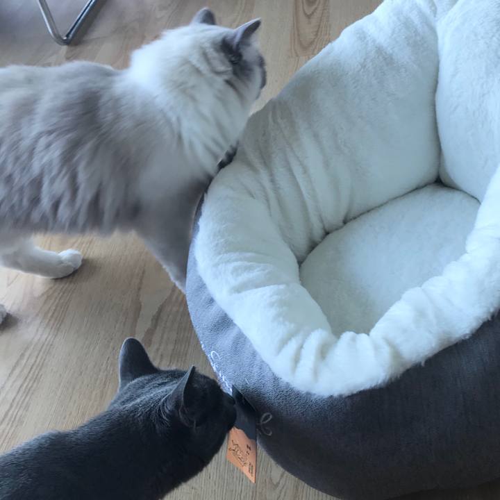 F2d32c8e 3bbd 4838 943e 4a60aeaa0cc3 1576108712835