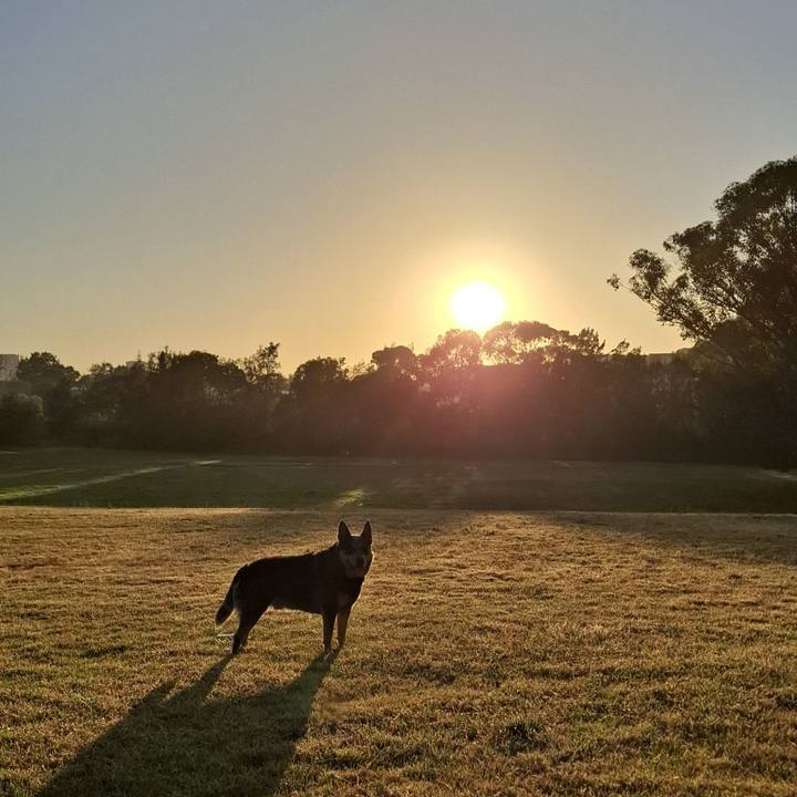 F2d350ec 2eea 420b 9964 a8a315d1a3fa 1766101248944