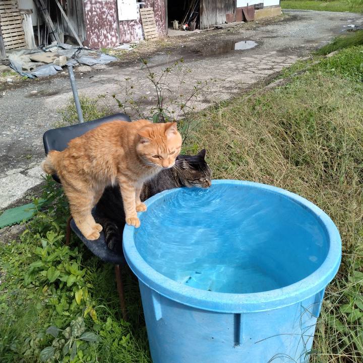 F2d35235 80aa 4aff bcc3 dcb0f9abf101 1665201758311