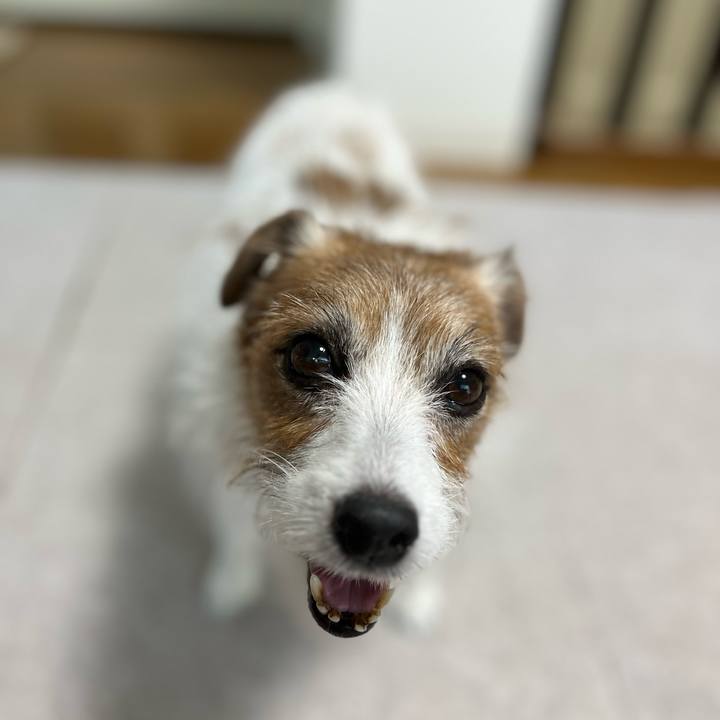 F2d35526 3357 40d9 851a 2ce3808b360d 1698410840561