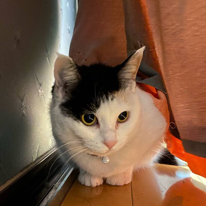 F2d36d40 1525 4dd9 9109 8fba8adc7534 1649365965734