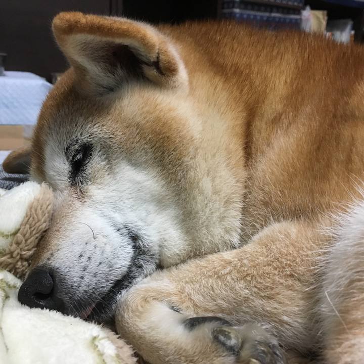 F2d3717b e948 4865 89ef 2e85fe5b6e10 1541883426320