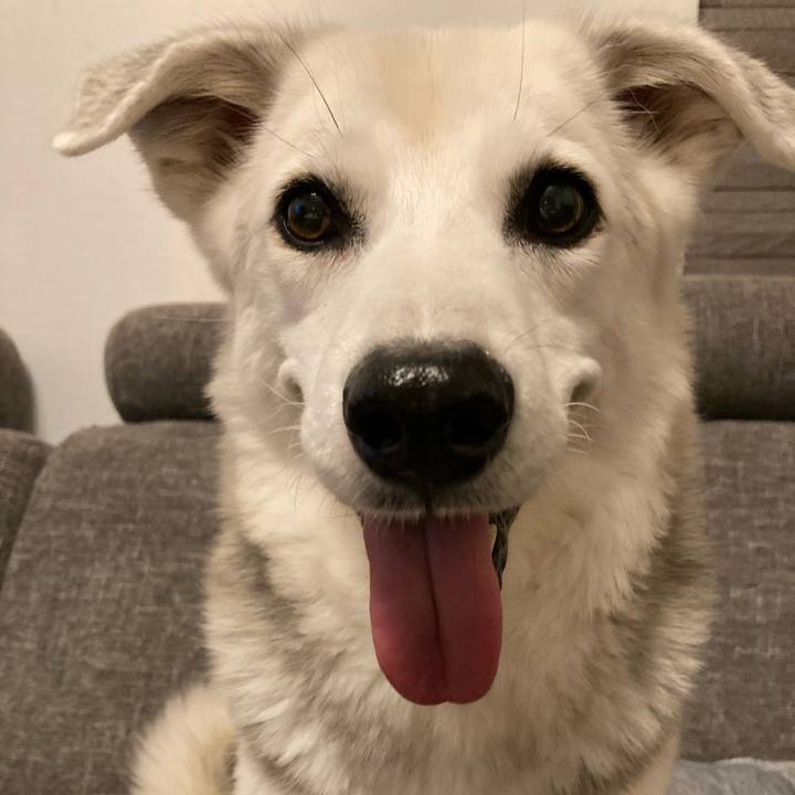 F2d3ead3 7664 4308 b1cd 81708b37a995 1693655348570