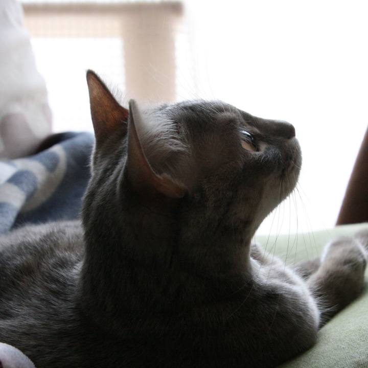 F2d3fd10 d64a 4b04 9132 474fdef21ce9 1522758330018