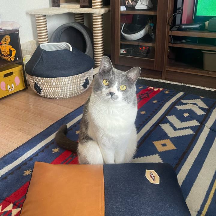 F2d42c68 a03e 4238 9454 415d1f968bcc 1678508600304