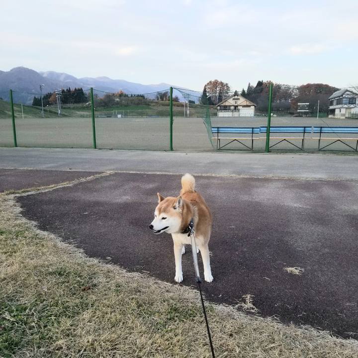 F2d43a05 9afc 4c83 a385 43244b7b9dcb 1668841496072