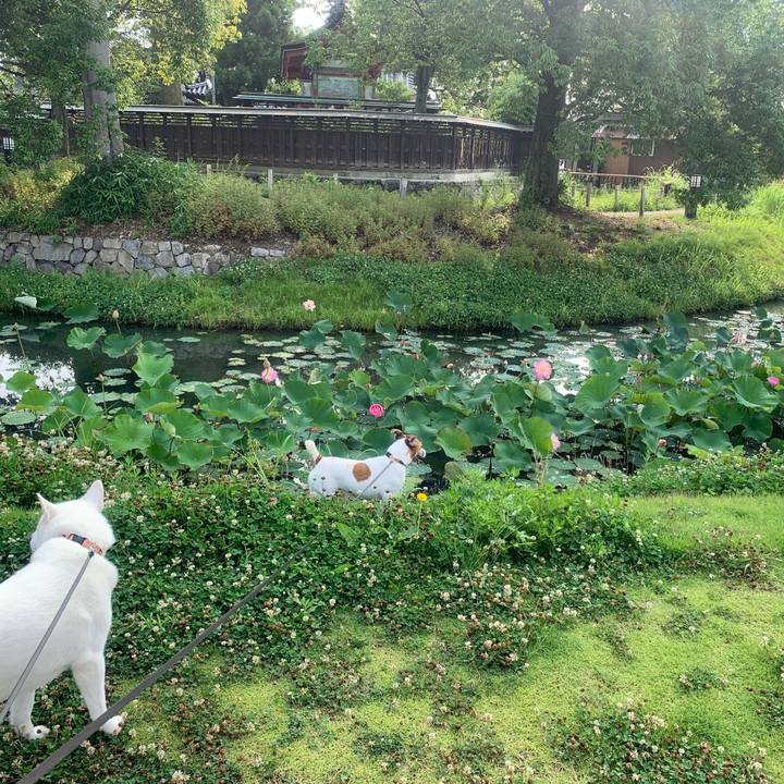 F2d462aa 5161 4acd ab0a ad015e7a2fd6 1561249541620