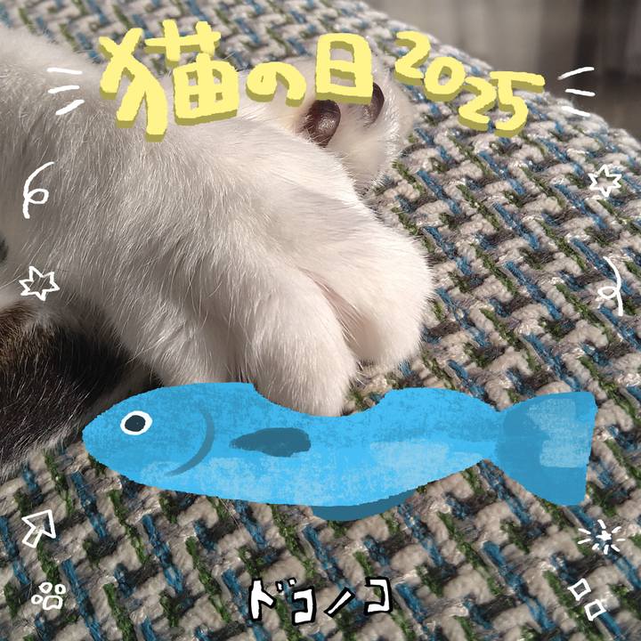 F2d48b6d 543d 402c 97df 83d00301740c 1740224309599