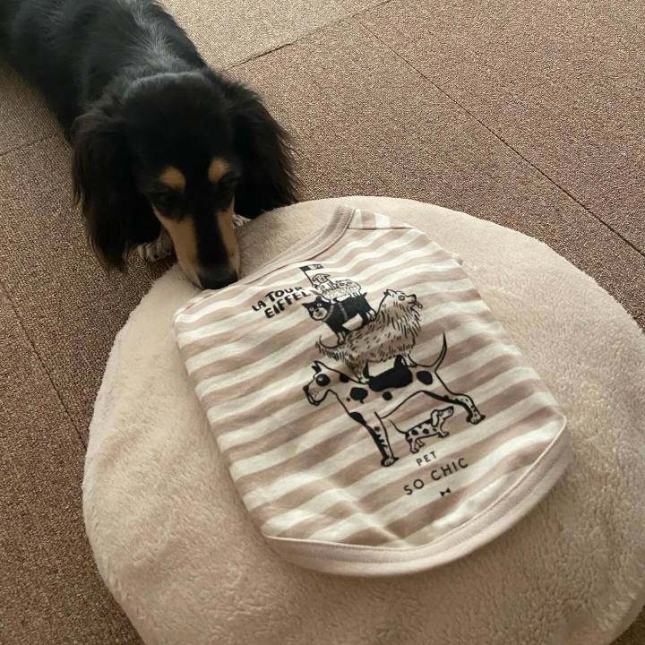 F2d48f79 1916 42f3 a9e1 5787e9e2f046 1720664983411