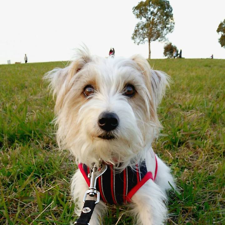 F2d4a817 ec00 4e2f 9d52 59b9715c185b 1511611279038