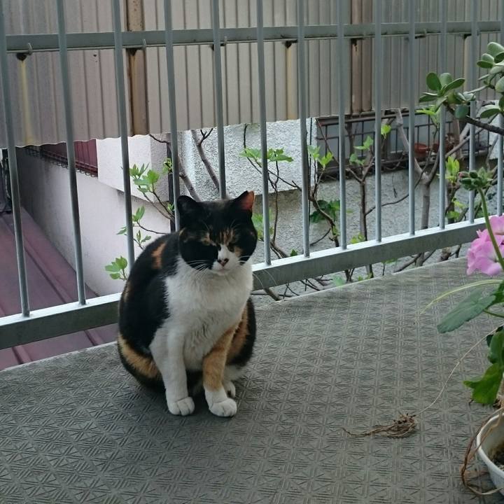 F2d4f05b d9eb 46cc 84af 64a6208a391f 1522970738565