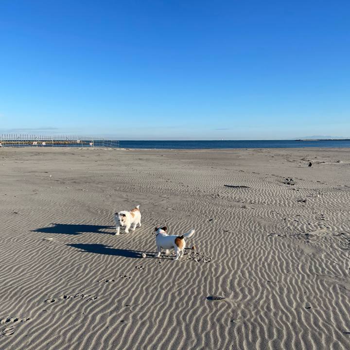 F2d51816 14f2 4aec aed0 f7a72a7b9ba3 1700093218209