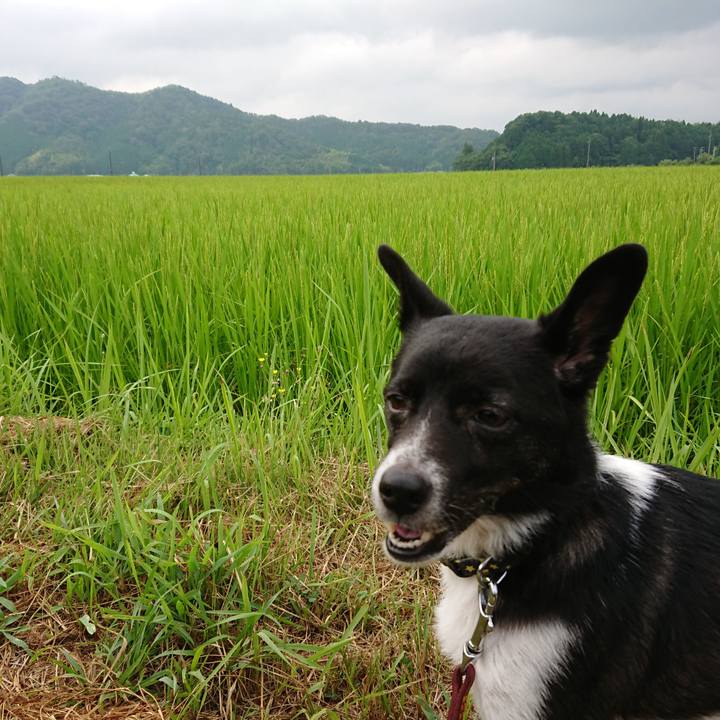 F2d563ad b8b5 412c 94c8 89f21596bf73 1532729578773