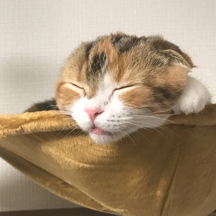 F2d580b3 6d07 430b 8168 f7f62cb18bf9 1510228518231