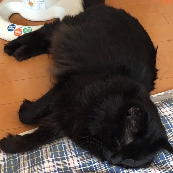 F2d5854a f4bf 45ec a048 2738c9d1ece1 1511481140071