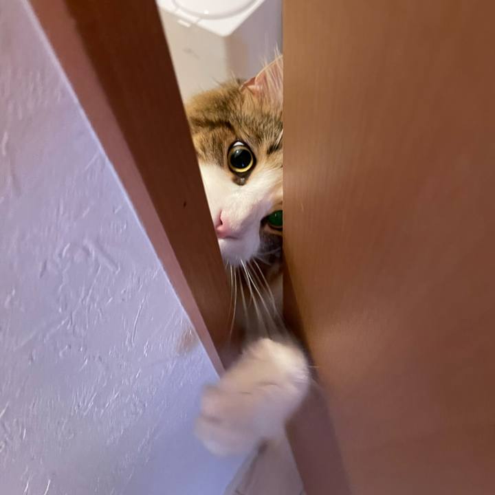 F2d58589 a513 4245 ad69 15eed6d020f7 1663190053777