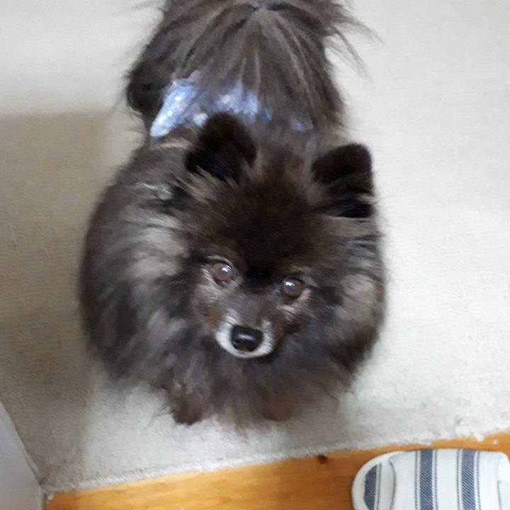 F2d59b57 4a59 4684 9dbf 805c5b85aa9d 1519507997046